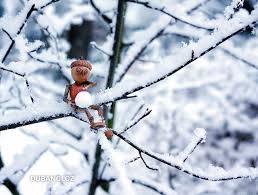 Dubanci et l'hiver