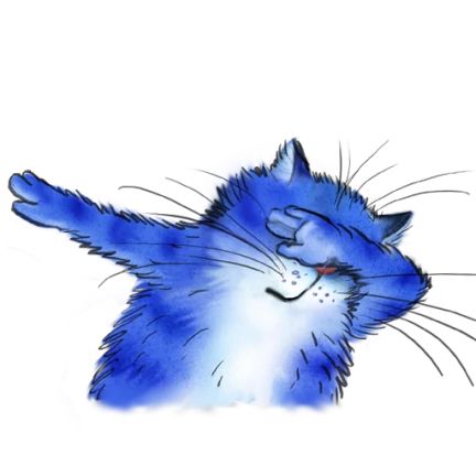 Chats rigolos