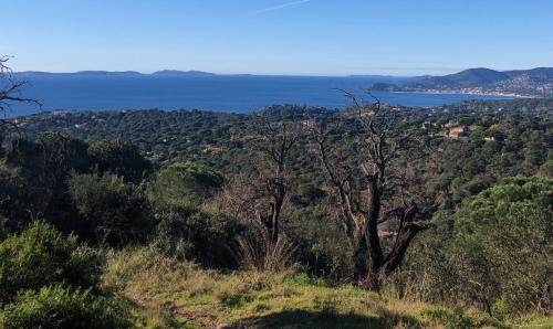ESTEREL, la MF de la Duchesse : vendredi 30 avril 