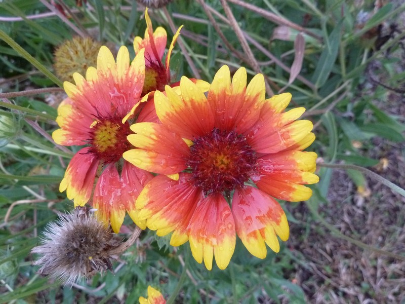septembre 