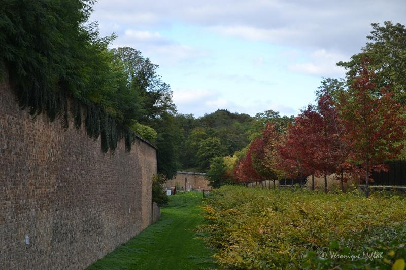 Suresnes : La promenade Jacques Baumel et le "Bosquet de la liberté"