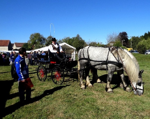 La fête de l'automne 2012 a eu lieu dimanche 30 septembre ...