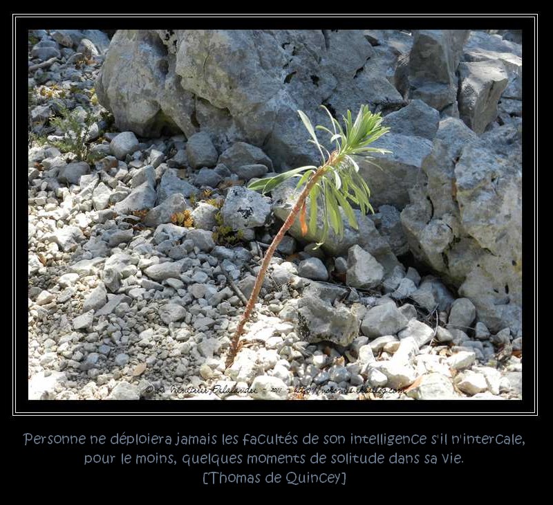 La nature demande bien peu de choses...