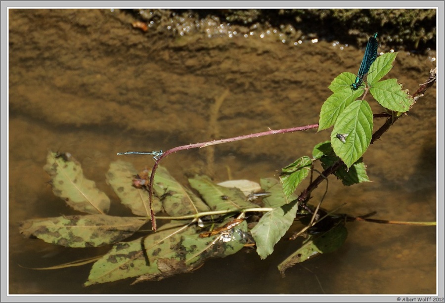 Regard autour de moi