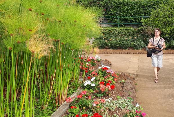 Circuit en étoile à Madère : Funchal et son Jardin Botanique