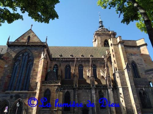 Colmar, la collégiale Saint Martin