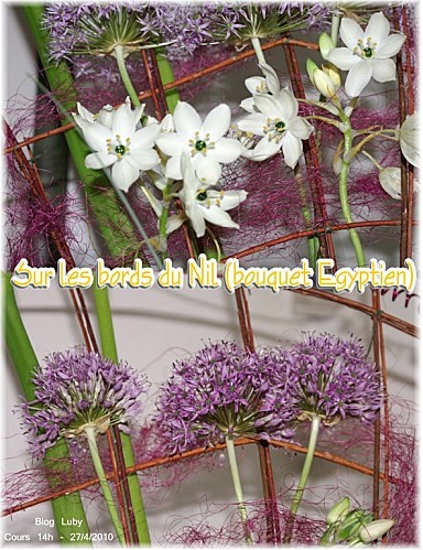 04 27 04 2010 sur les bords du nil (3)