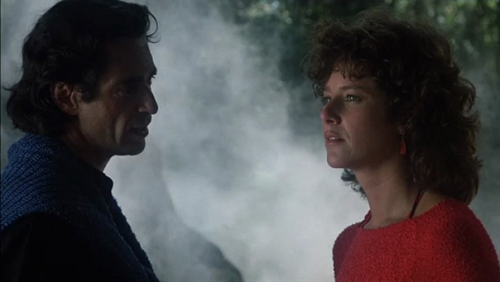 La veuve noire, Black widow, Bob Rafelson, 1987