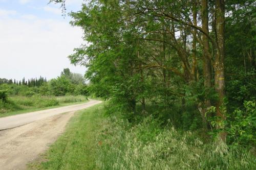 Randonnée "Au fil de l'eau" à Ners