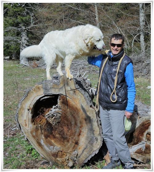 Le Vallon de la Jarjatte
