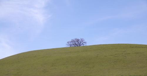Une petite balade qui fait du bien : 4 