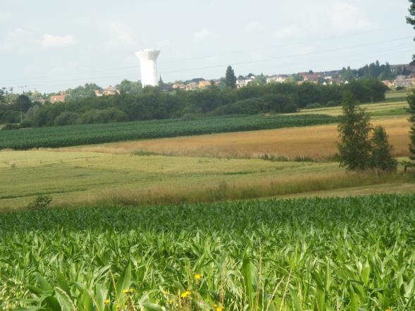 "Respect envers la campagne" ... 