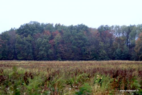 Lundi 21 au Dimanche 27.09 + Bonus