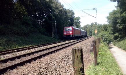 Leverkusen hautnah: Von der Diepentalsperre über den Murbach und die Wupper bis nach Opladen