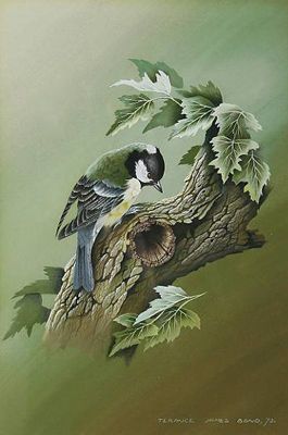 oiseaux en peinture (suite)