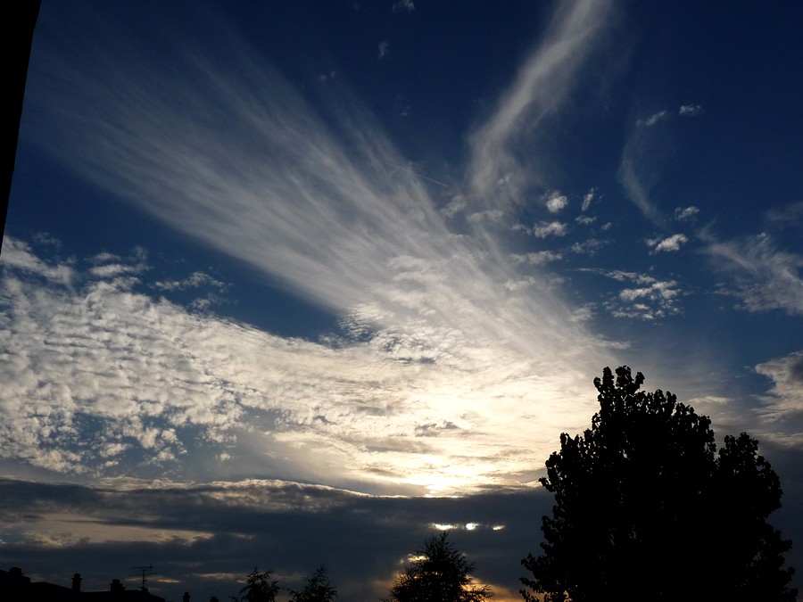 Le Zanimaux du Zoo d'Amiens 