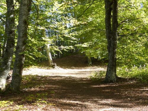 Col de Foureyssasse