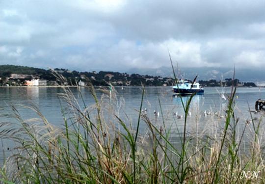 Scènes d'aujourd'hui