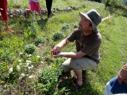 Un botaniste à Villemervry
