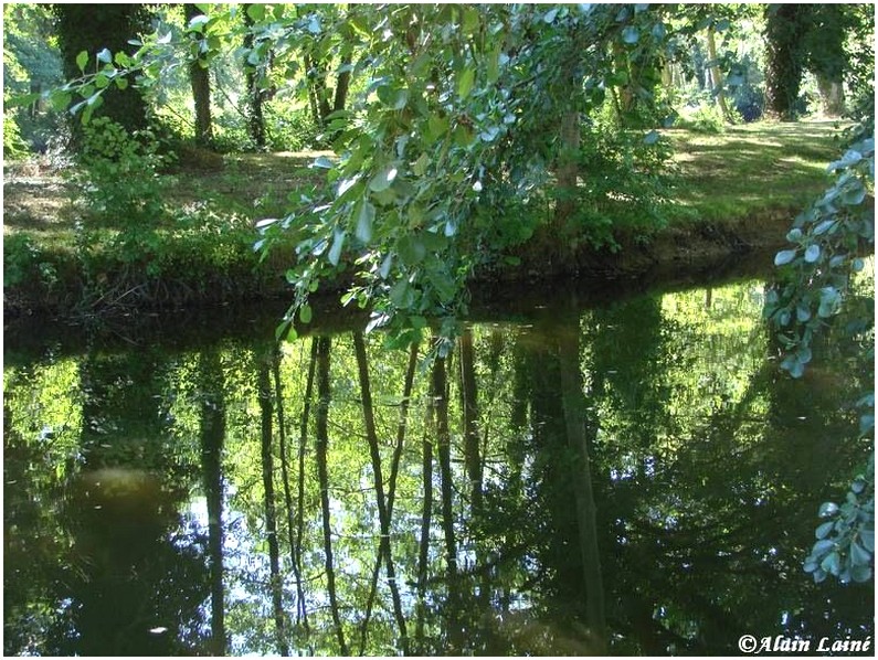 Reflets
