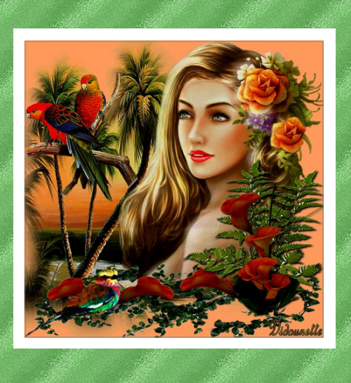créa tropical