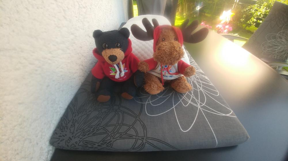 Peaceful Day at Home on July 16th 2024