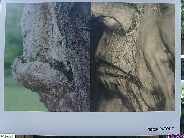 PHOTO-PEUPLES---NATURE-2010-LA-GACILLY-2-031.jpg