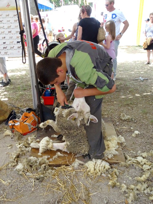 L'agriculture aux Journées Châtillonnaises 2015...