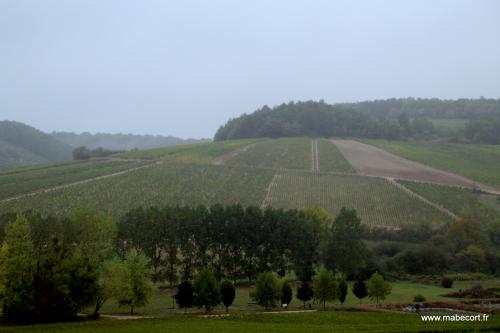 Lundi 21 au Dimanche 27.09 + Bonus