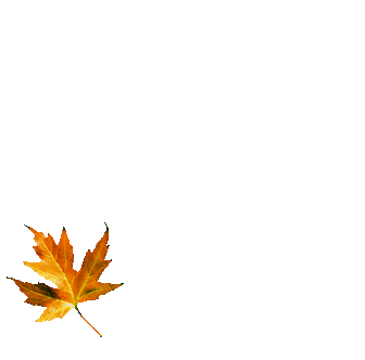 Image20.gif