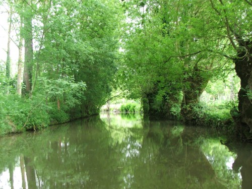 DSCF3557.JPG
