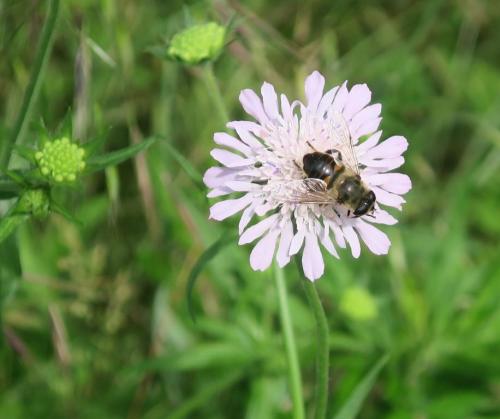 Randonnée "Au fil de l'eau" à Ners
