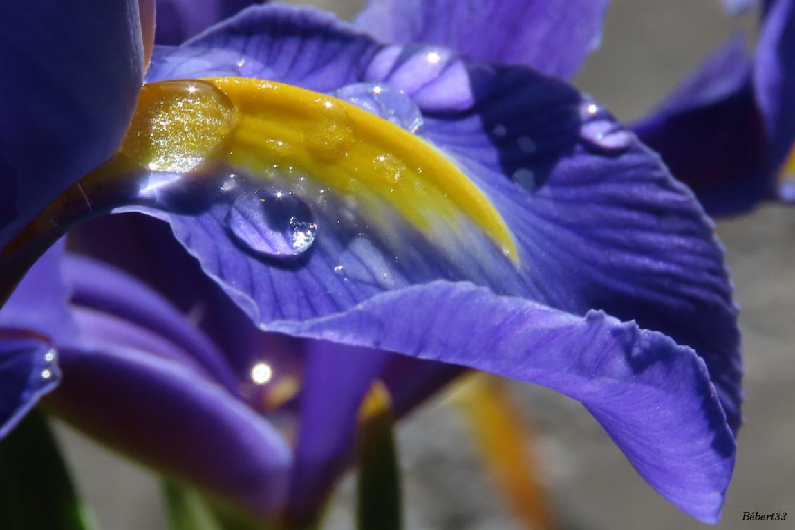 après la pluie j'aime +++ ?