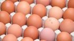 Oeufs