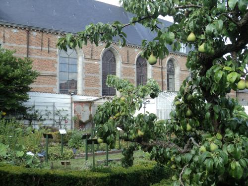 * Excursion à Lessines