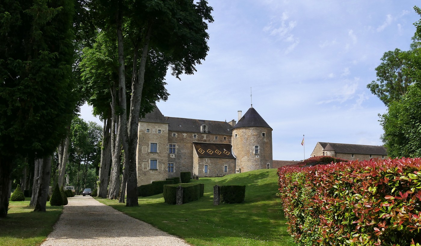 Le 7 juin 2024 : Chemin des écoliers direction Versailles - 2