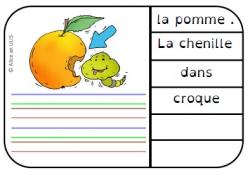 Activités en grammaire