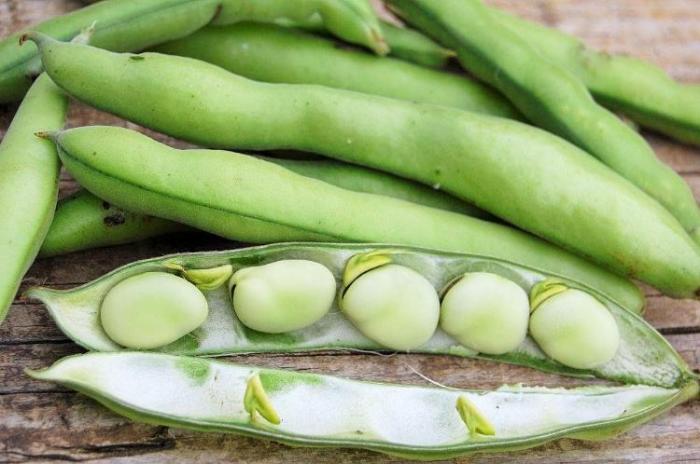 Légumes du mois d'Avril