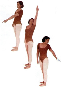 Rotations de la tête, de la taille