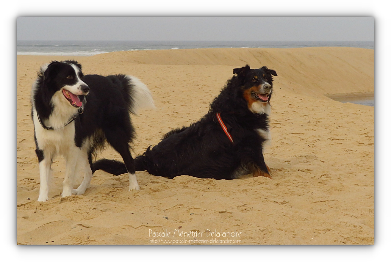 Gampo & Loo en vacances...