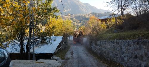 ARTVIN et la montagne 2/2