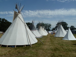 La semaine dernière avec mes puces (fin)