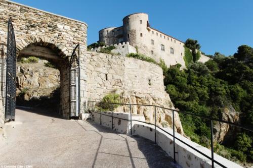 Bormes-les-Mimosas (Var)