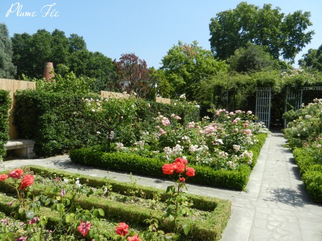Image44.jpg