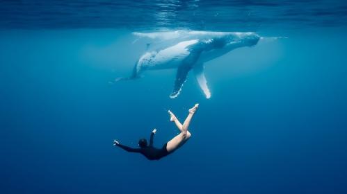 BAKELITE by Julie Gautier | #SickOfPlastic campaign - YouTube