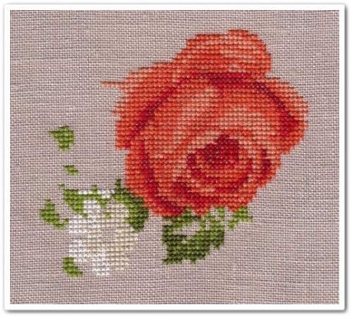 Roses and Lilies 2
