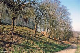 LES REMPARTS DE MONTGAUDRY (Orne)