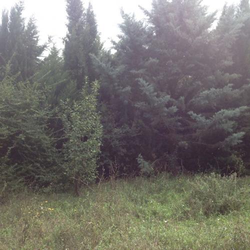 Enorme maison vandalisée, squatée encore intriguante