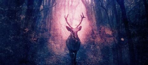 LETHIAN DREAMS - Les détails du nouvel album A Shadow Of Memories ; "Tidal" Lyric Video