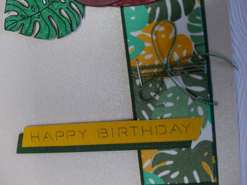 Joyeux Anniversaire ... 66